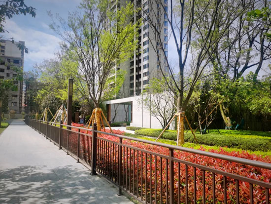 常宁樾府-因出众而热捧，红出圈的常宁实力派